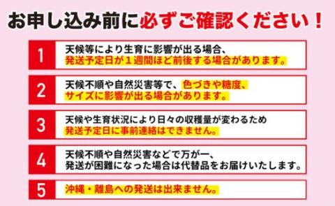 No.2402菱沼農園　りんご「サンふじ」約3kg【2024年度発送】