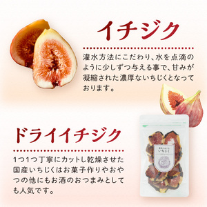 期間限定【農園のめぐみ】甘味が凝縮いちじく750g×2・いちじく加工品セット《 数量限定 限定 果物 くだもの フルーツ いちじく 無花果 送料無料 》【2402C08211】