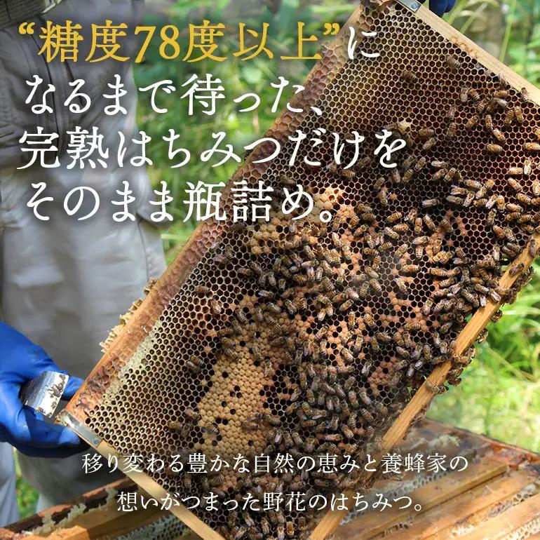 はちみつ 百花 300g 3本  天然 非加熱 純粋 生 はちみつ 蜂蜜