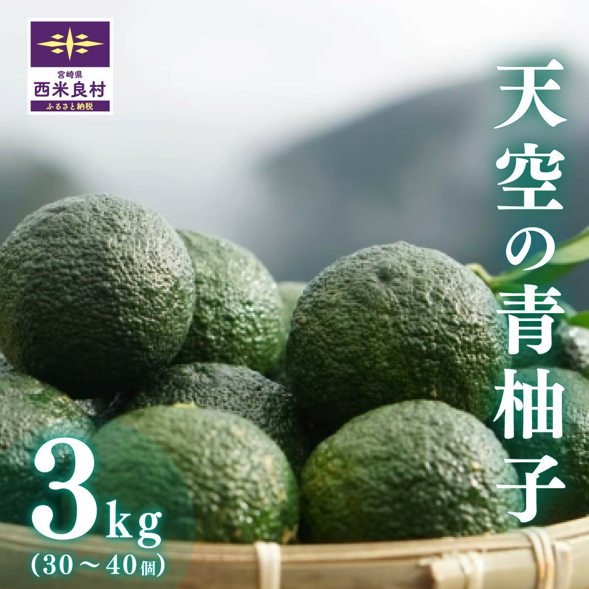 【ふるさと納税】天空の青柚子 3キロ(30~40個) ※出荷は9月中旬~ かんきつ 柑橘 果実 柚子 ユズ ゆず 青柚子 九州産 薬味　柚子胡椒 宮崎県 西米良村