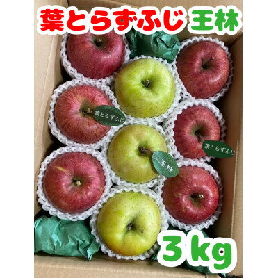 【ふるさと納税】先行予約【青森市産・完熟葉とらずふじ&王林】約3kg(家庭用)【1181967】
