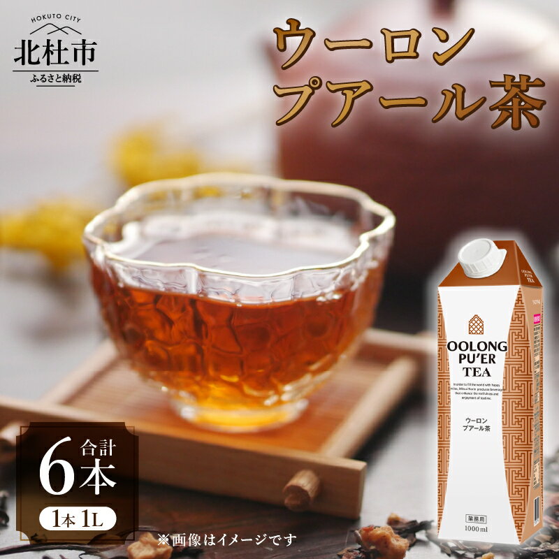 【ふるさと納税】 烏龍茶 プアール茶 ブレンド茶 1L 1000ml×6本 紙パック ホワイトノーブル紅茶 ウーロン茶 中国茶 飲料 ドリンク 水分補給 ヘルシー 飲料類 お茶 ソフトドリンク 日東紅茶 業務用 山梨 北杜市 送料無料 7000 10000円以下 1万円以下