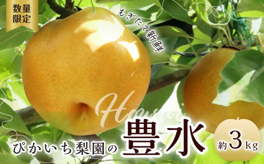 梨 豊水 約3kg | 先行予約 数量限定 梨 フルーツ 高級 産地直送 限定品 贈り物 新鮮 お取り寄せ デザート ギフト 風味豊か 香り 上品 希少価値 珍しい 地域 甘い 限定 果物 果樹 豊水 梨 なし 果物 フルーツ 和梨 旬 日本の梨 ジューシー みずみずしい 高糖度 季節のフルーツ 大玉 埼玉県 久喜市