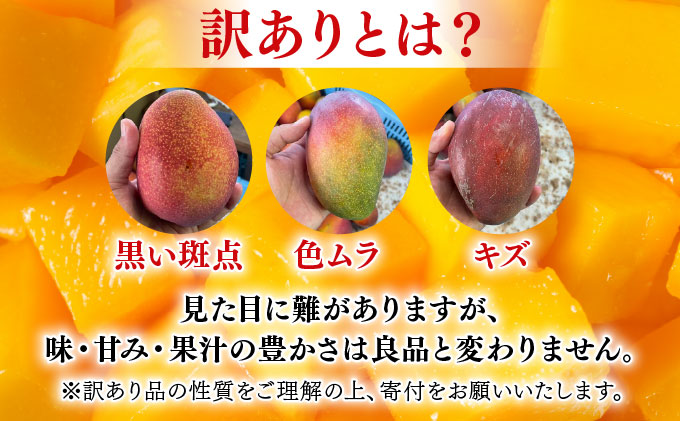 【2026年夏発送】【先行予約】訳あり  アップルマンゴー！2kg箱(4〜6玉)
