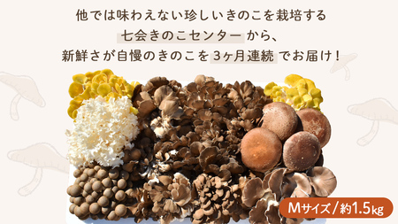 《 ３ヶ月 連続定期便 》 きのこ の 詰め合わせ Mサイズ 約1.5kg （茨城県共通返礼品 城里町） 定期便 キノコ 舞茸 あわび茸 たもぎ茸 しいたけ 花びら茸 セット 鍋 炒め物 [CX006