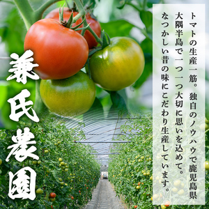 【P74002】＜先行予約受付中！2026年2月中旬以降順次発送＞ ぜいたくトマト(約1.8kg) フルーツトマト 完熟 こだわり とまと トマト 大玉品種 夏野菜 野菜 産地直送【兼氏農園】