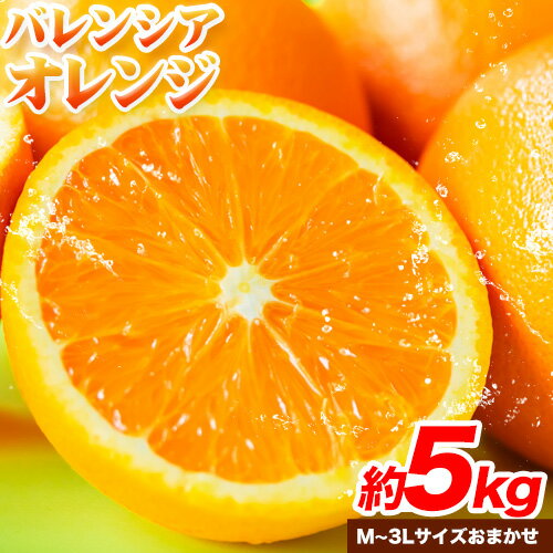 【ふるさと納税】【爽快】有田産バレンシアオレンジ 約5kg(M〜3Lサイズおまかせ) 厳選館 《2025年6月中旬-6月下旬頃出荷》和歌山県 日高町 オレンジ 柑橘 フルーツ 果物