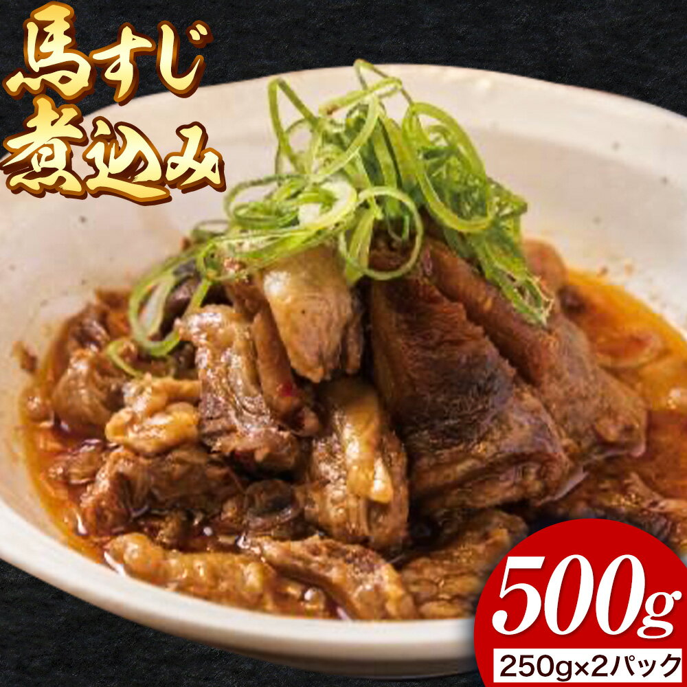 【ふるさと納税】馬肉 本格馬すじ煮込み 馬すじ 煮込み 外輪 【配送不可地域あり】（離島）《60日以内に出荷予定(土日祝除く)》 熊本 冷凍 馬刺 馬肉 絶品 おつまみ 贈答用 ギフト お中元 お歳暮 産山村 送料無料