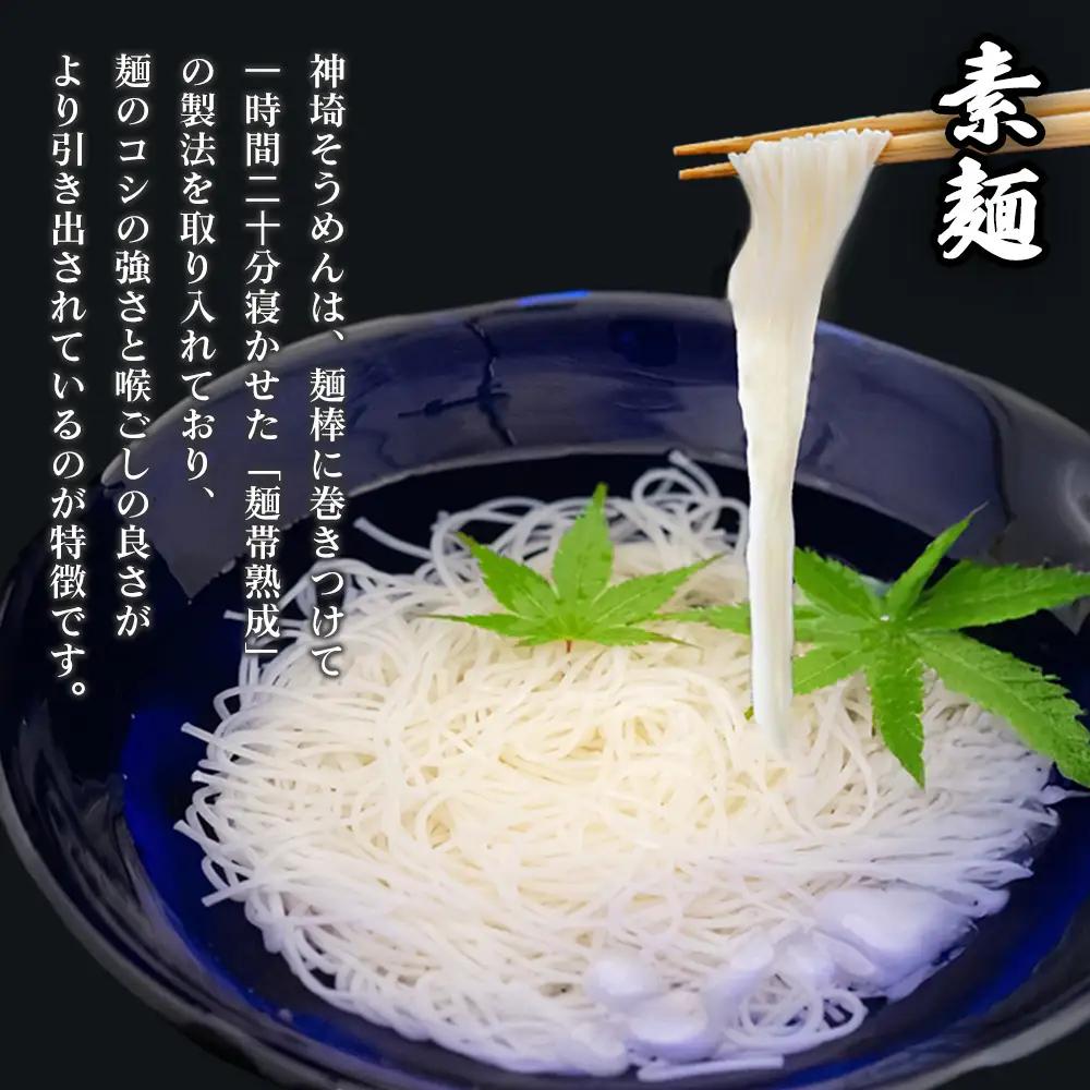 神埼めんセット(そうめん4袋・蕎麦2袋) 10カ月定期便(H110104)