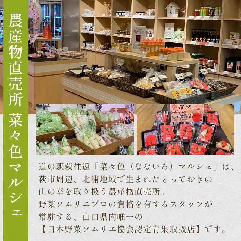 野菜ソムリエプロselect／萩・季節の食材定期便 隔月発送・3回コース