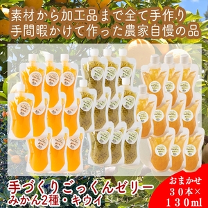 スイスで加工品を学んだ農家が作った手づくりごっくんゼリー おまかせ30本セット 130ml みかん 甘夏 キウイ【 家庭用 自宅用 贈答品 贈答用 ギフト お取り寄せ お中元 お歳暮 贈り物 お祝い 神奈川県 小田原市  ゼリー ゼリー ゼリー ゼリー ゼリー】