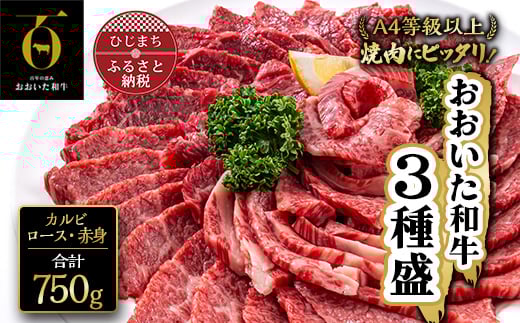 おおいた和牛 牛肉 3種盛 ( カルビ ・ ロース ・ 赤身 ) 計750g (250g×3種類) 肉 お肉 焼き肉 焼肉 食べ比べ 黒毛和牛 和牛 ギフト プレゼント 高級 バーベキュー BBQ【1089360】