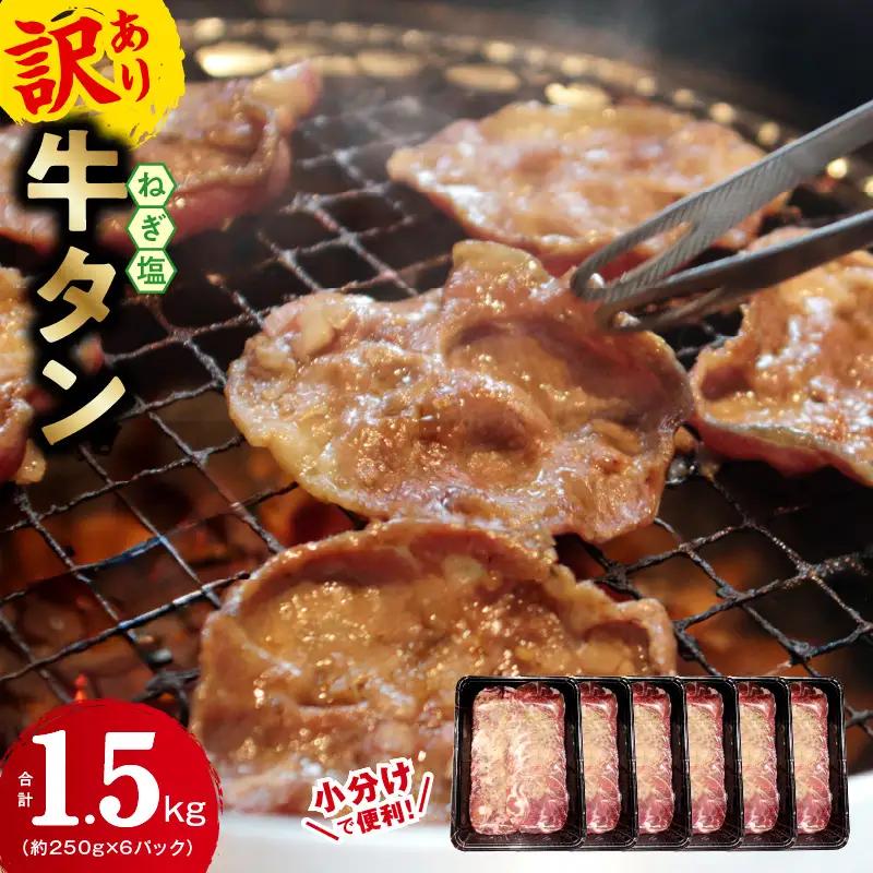 牛タン＆牛ハラミ 総量 2.5kg 焼肉セット