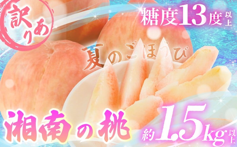 
            【先行予約】桃 約1.5kg 以上 (6～9玉) 訳あり もも モモ momo 2026年7月下旬発送開始 訳有 訳アリ ピーチ 完熟 糖度13度以上 糖度 果物 くだもの フルーツ ふるーつ ご家庭用 ご褒美 ごほうび おやつ 氷蔵庫熟成 熟成 帰省 産地直送 数量限定 ふるうつらんど井上 湘南 神奈川 藤沢
          