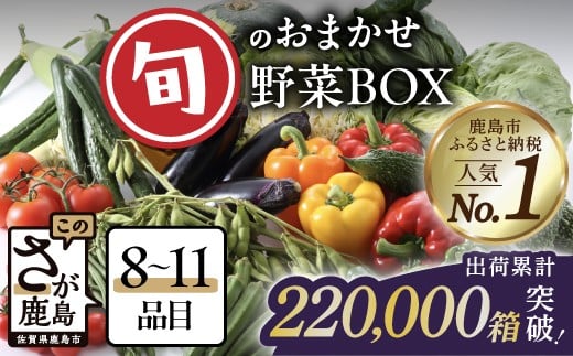 
            旬のおまかせ 野菜BOX 単品 【8~11品目】 野菜 フルーツ 果物 旬 セット 詰め合わせ ふるさと納税 佐賀県 鹿島市 AA-4
          