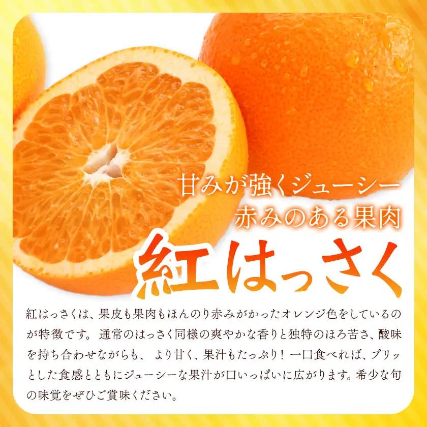 紅はっさく サイズ混合 10kg エイワ商店