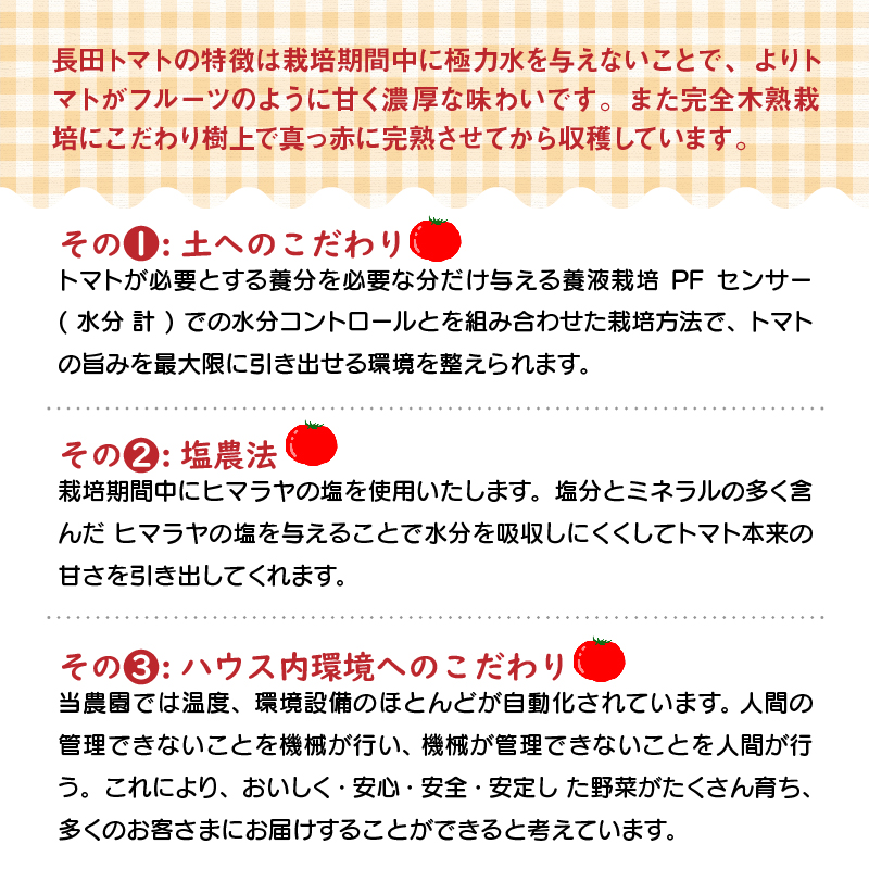 1月～6月毎月発送　幻のミニトマト　トマトベリーの定期便　6回コース 野菜ソムリエサミット 金賞 受賞 長田農園 産地直送 トマト とまと 野菜 やさい フルーツ サラダ 濃厚 甘い ご褒美 プレゼン