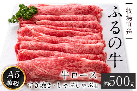 ふるの牛（黒毛和牛）ロースすき焼き・しゃぶしゃぶ用 500g A5 有限会社ふるの《30日以内に出荷予定(土日祝除く)》