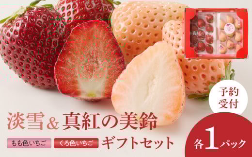★予約受付★杉山いちご農園 もも色いちご（淡雪）＆黒色いちご（真紅の美鈴）セット　2026年1月～5月中に順次配送 ／ 白いちご あわゆき 黒いちご 真紅の美鈴 苺 希少 果物 くだもの フルーツ デザート 旬 食べ比べ ギフト
