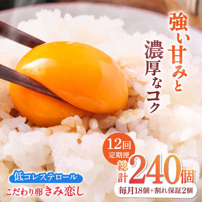【ふるさと納税】【12回定期便】きみ恋し 箱入り 20個（18個+割れ保証2個）×12ヶ月 総計240個　広川町/伊藤養鶏場[AFAJ007]