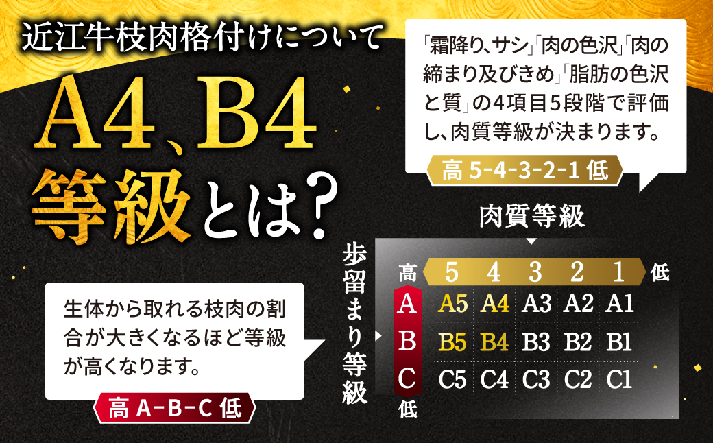 近江牛 希少部位５種 焼肉用 詰合せ　B-E06　株式会社びわこフード(近江牛専門店 万葉)