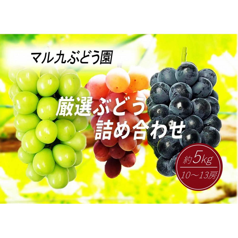 【ふるさと納税】【先行予約】【数量限定】 厳選ぶどう 詰め合わせセット 約5kg 〔2025年8月中旬より順次発送〕 | ぶどう フルーツ 果物 くだもの 食品 人気 おすすめ 送料無料