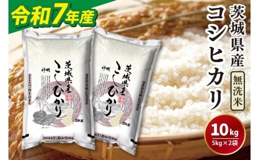令和7年産無洗米茨城コシヒカリ5㎏×2【 無洗米 お米 こめ 米 こしひかり 茨城県 茨城県産 】（LL-6）