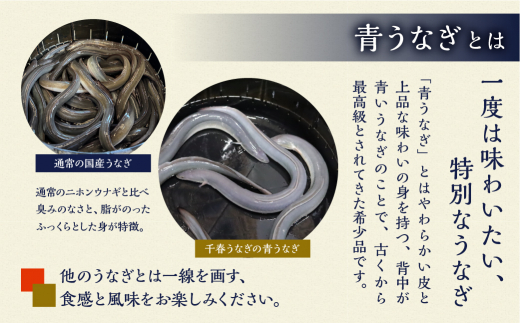 厳選 高級 幻の青うなぎ 蒲焼 4尾 全6回 定期便　合計24尾　| 国内において幻とも称される「青うなぎ」のみをお届け  食感・風味全てに自信のある最高のうなぎ