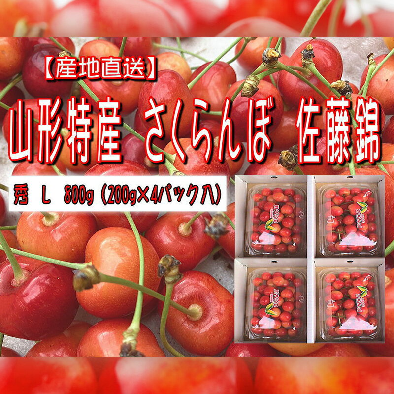 【ふるさと納税】山形特産 さくらんぼ 佐藤錦 L 800g(200g×4パック入) 【令和7年産先行予約】FU22-972くだもの 果物 フルーツ 山形 山形県 山形市 お取り寄せ 2025年産