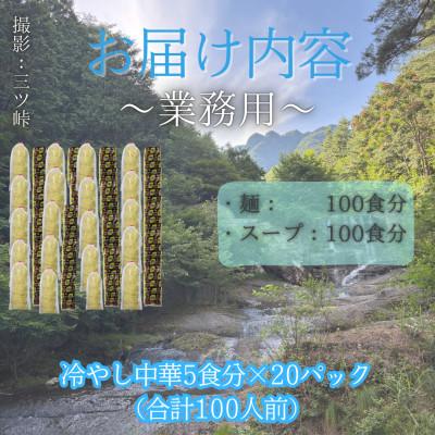 ふるさと納税 西桂町 【訳あり】麺好き必見!老舗製麺所「平井屋」の業務用!冷やし中華_1袋5食分×20P(合計100食分) |  | 02