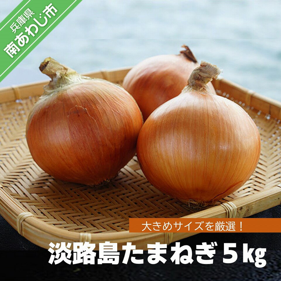 【ふるさと納税】淡路島たまねぎ　5kg