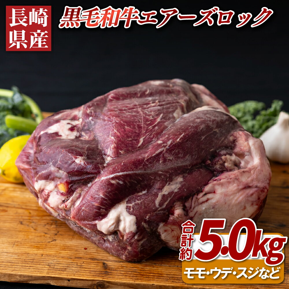 【ふるさと納税】長崎県産黒毛和牛エアーズロック