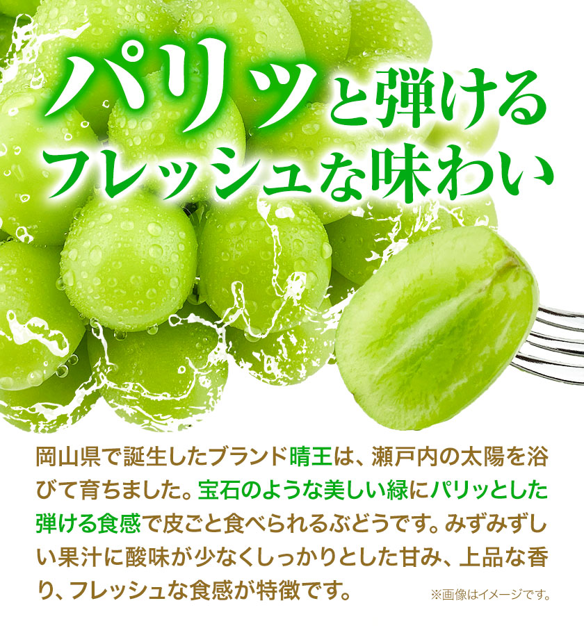 ぶどう [2024年先行予約] シャインマスカット 晴王 岡山県産 2房 約1.1kg《9月上旬-11月上旬頃出荷(土日祝除く)》 ハレノフルーツ マスカット 送料無料 岡山県 浅口市 フルーツ 果物