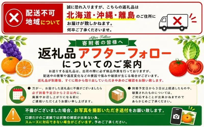 みかん 有田みかん 約5kg＋150g(傷み補償分) 【訳あり】【nuk160-11C】