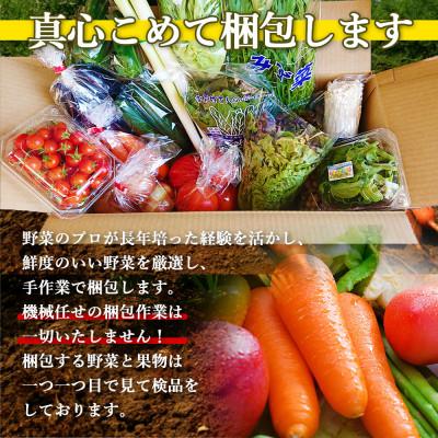 ふるさと納税 時津町 野菜のプロ40年が届ける厳選野菜セット 果物付き 15品目以上 詰め合わせ |  | 01