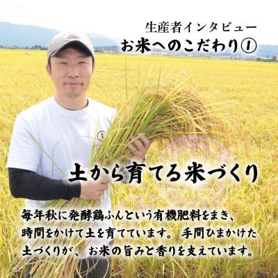 ふるさと納税 新発田市 【12月発送】令和8年産 特別栽培米コシヒカリ 5kg 精米 |  | 01