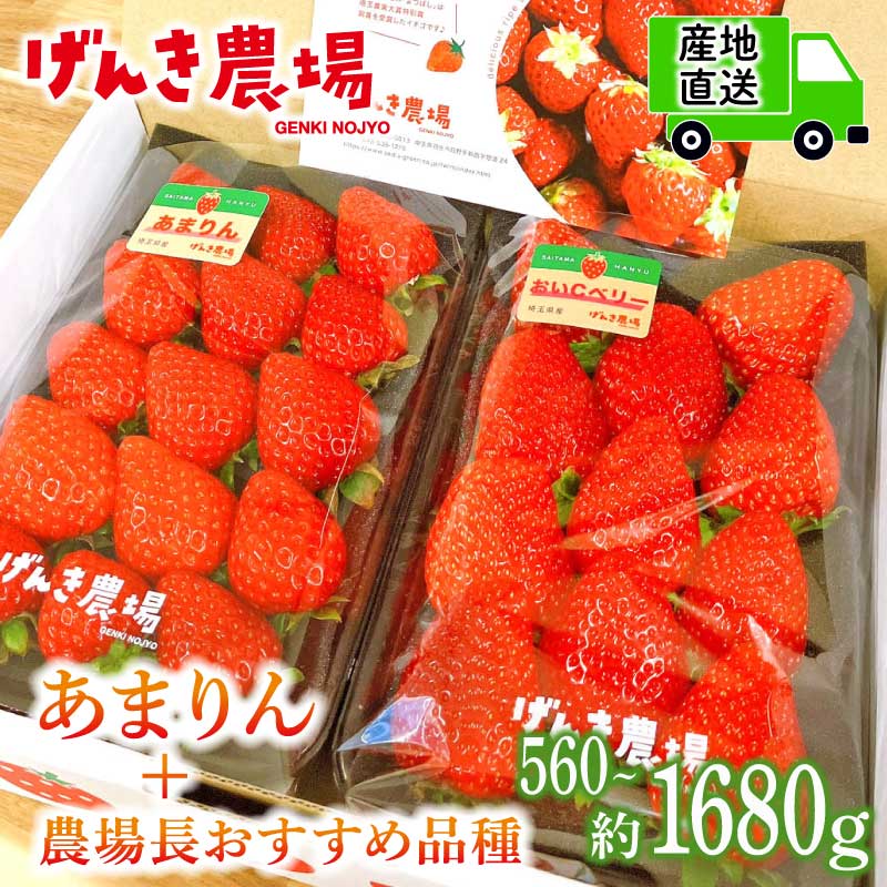 【ふるさと納税】 【事前受付】いちご あまりん +農場長おすすめ品種 560g 1120g 1680g 選べる容量 苺 食べ比べ イチゴ ストロベリー 産地直送 ご当地 果物 くだもの フルーツ デザート 食品 冷蔵 げんき農場 埼玉県 羽生市
