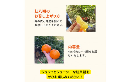 【期間限定・3/31まで】紅八朔4kg※1月下旬から順次発送予定※ / 和歌山県 はっさく フルーツ 果物 柑橘 田辺市 みかん 【nak012-1】