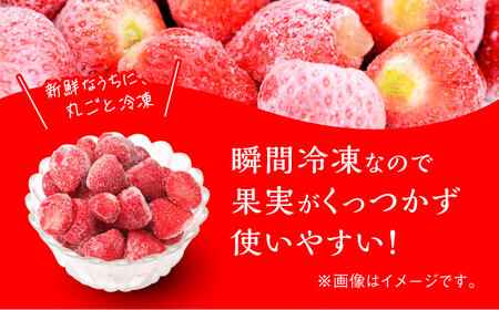 福岡県産【博多冷凍あまおう】約500g×4袋 合計約2kg＜株式会社H&Futures＞ 那珂川市 いちご フルーツ くだもの 果物 あまおう 九州産 苺 国産 冷凍いちご 14000 14000円 