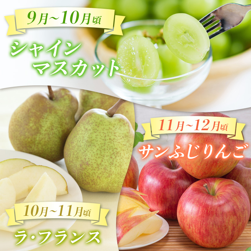 【定期便5回】☆んま～い山形☆ よく選ばれるフルーツ定期