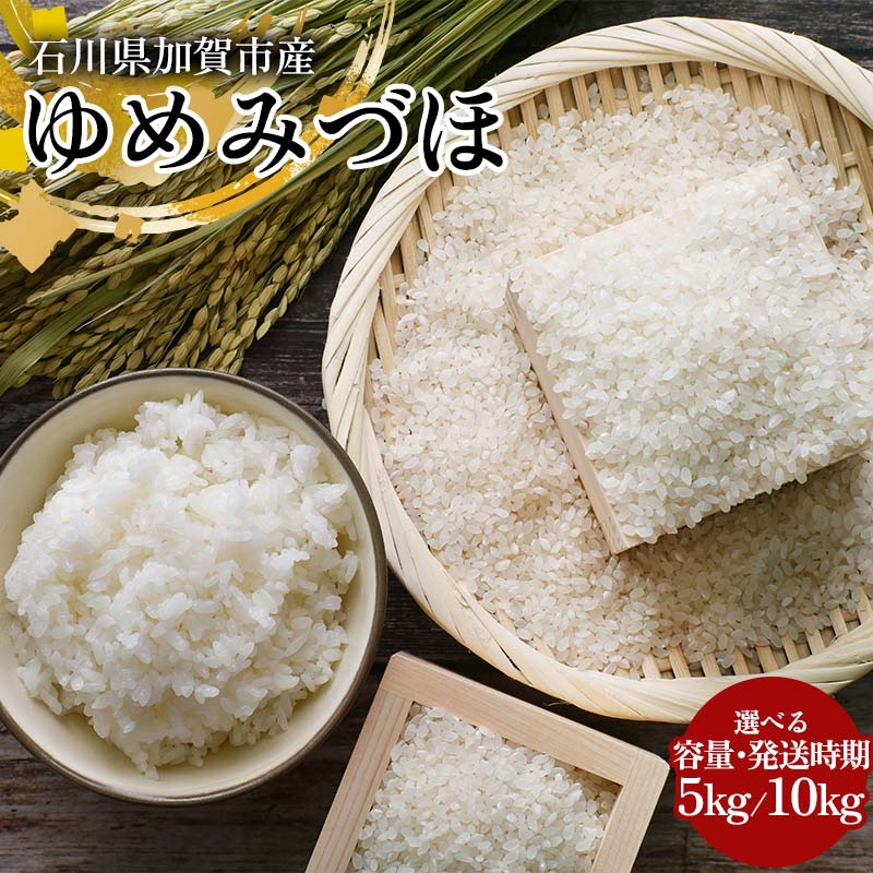 【ふるさと納税】【容量・発送時期が選べる】令和7年産 新米 ゆめみづほ 5kg～10kg 石川県加賀市産米 お米 国産 日本米 コメ ごはん ご飯 食品 F6P-2794var