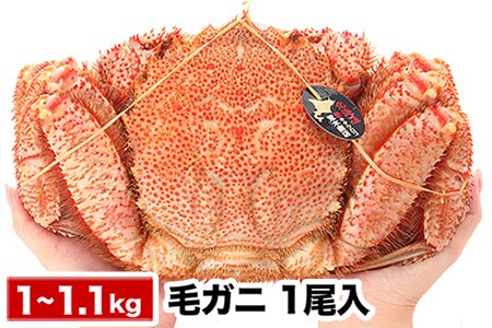毛がに1kg～1.1kg前後×1尾 C-58010