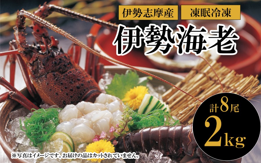 
                  90-14凍眠冷凍伊勢海老 2kg（計8尾）
                