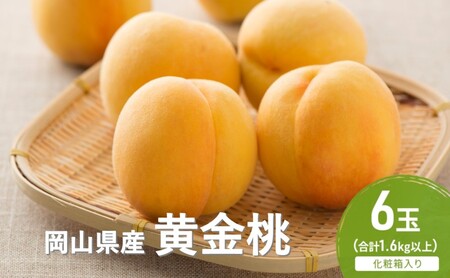 桃 2026年 先行予約 黄金桃 6玉(1.6kg以上) 化粧箱入り 岡山県産 桃