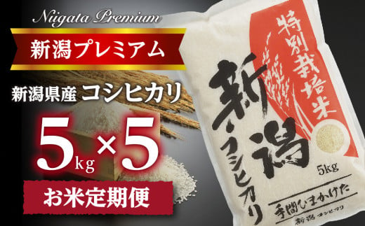 【令和6年産】『定期便』新潟プレミアム 特別栽培米 コシヒカリ 白米5kg × 5か月 FC050019