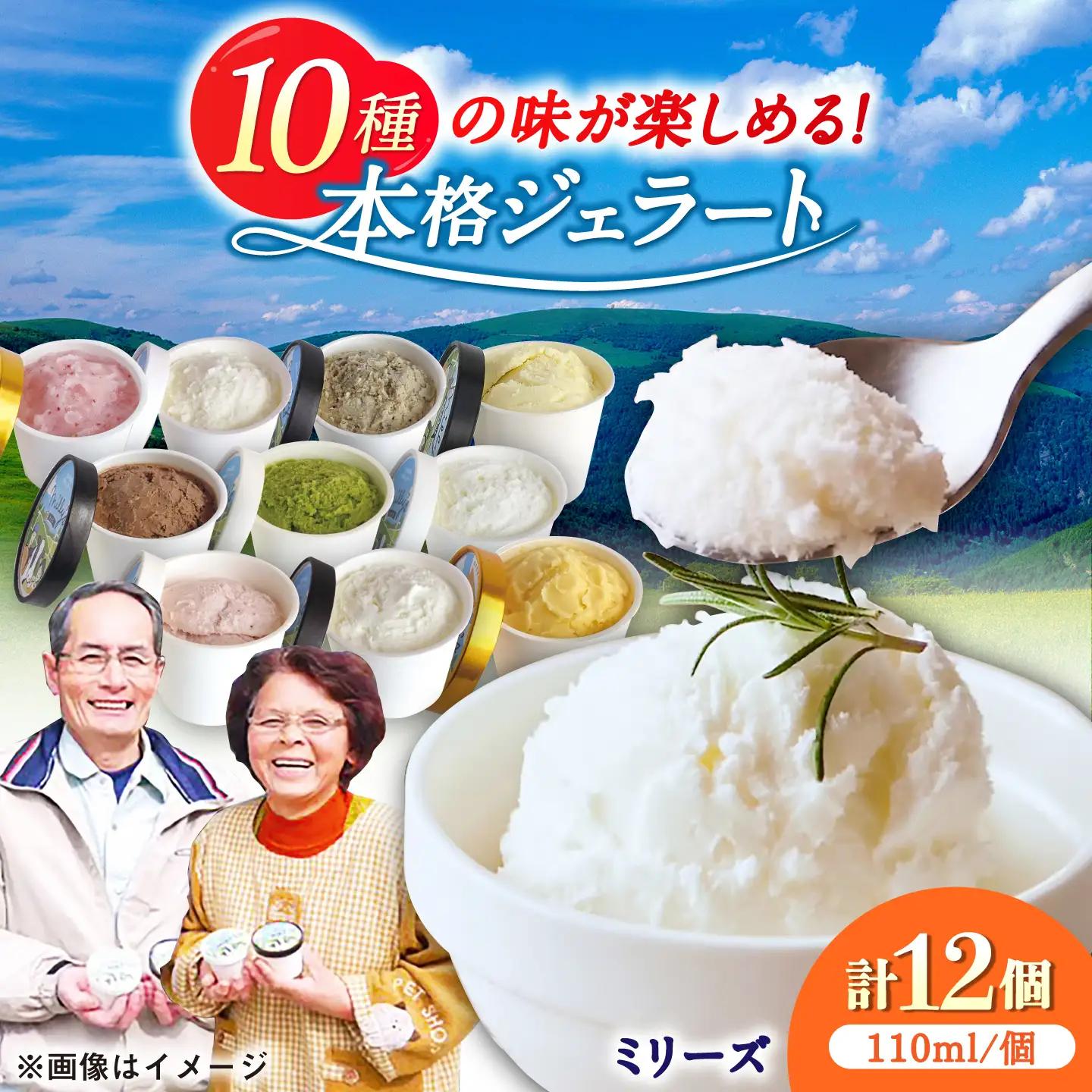 本格ジェラート ミリーズ12個セット 110ml×12個 / ジェラート アイス アイスクリーム シャーベット ギフト 贈答 / 佐賀県 / 松本アイス工房[41AOAA003]