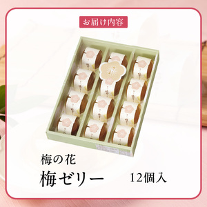 梅の花　梅ゼリー　12個入_梅ゼリー 95g × 12個 完熟 南高梅 まるごと 一粒 使用 優しい 甘さ 喉越し 爽やか とろける 食感 アレンジ シャーベット 梅酒ソーダ 梅 ゼリー おやつ デザ