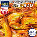 【ふるさと納税】《14営業日以内に発送》サロマ湖産 北海しまえび 約400g 20尾～35尾 ( 海鮮 魚介 えび エビ 海老 しまえび )