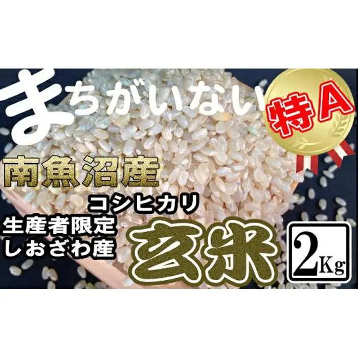 【令和7年産】玄米 生産者限定 南魚沼しおざわ産コシヒカリ2Kg【銘柄米 ブランド米 玄米 こしひかり コシヒカリ 魚沼産 新潟米 産地直送 お米 米 こめ コメ ご飯 御飯 ごはん】