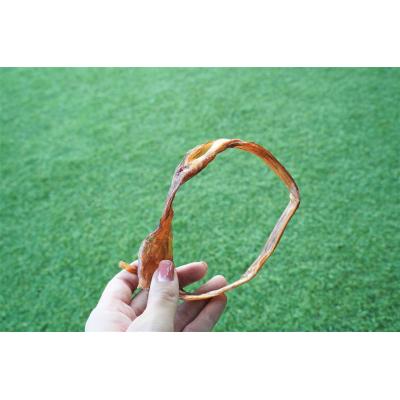 ふるさと納税 碧南市 【獣医師手作り】無添加 ペット用 アキレスくんせい (輪タイプ) 計300g H191-003 |  | 01